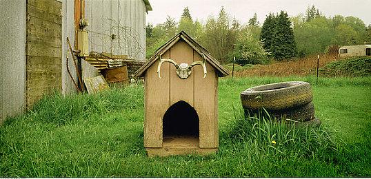 漫画风格休闲沙盒建造游戏《我们的土地》上线Steam平台